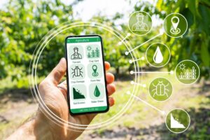 Smart Farming App auf Smartphone, im Hintergrund eine Plantagenfläche